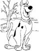 Scoobiedoo
